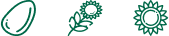 3 logos que representan la semilla de girasol, planta y flor de girasol